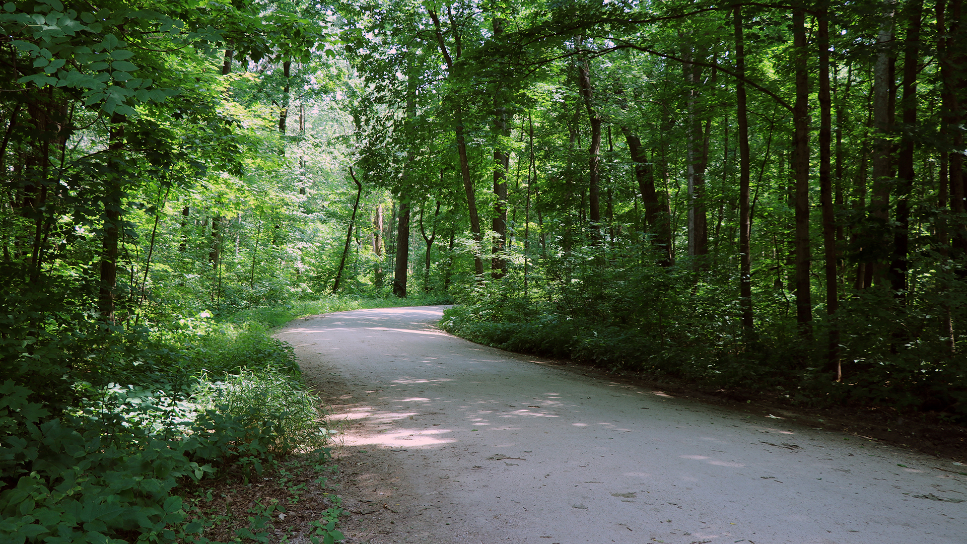 Burlington-Park-summer-trail-1920x1080